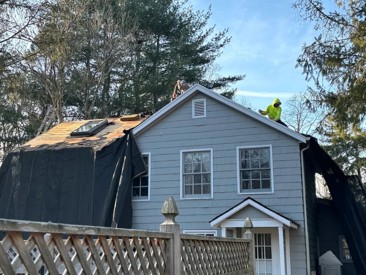 Windows and landscaping protected with tarps during a roof replacement